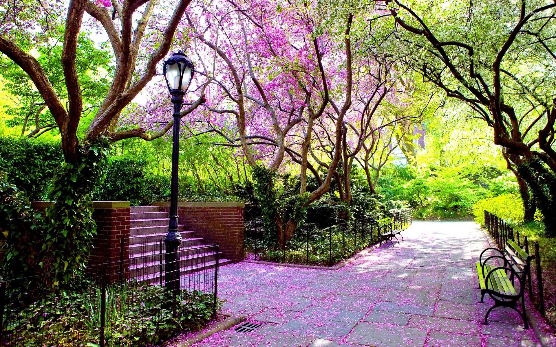 Spring Park Wallpapers - Top Free Spring Park Backgrounds - WallpaperAccess