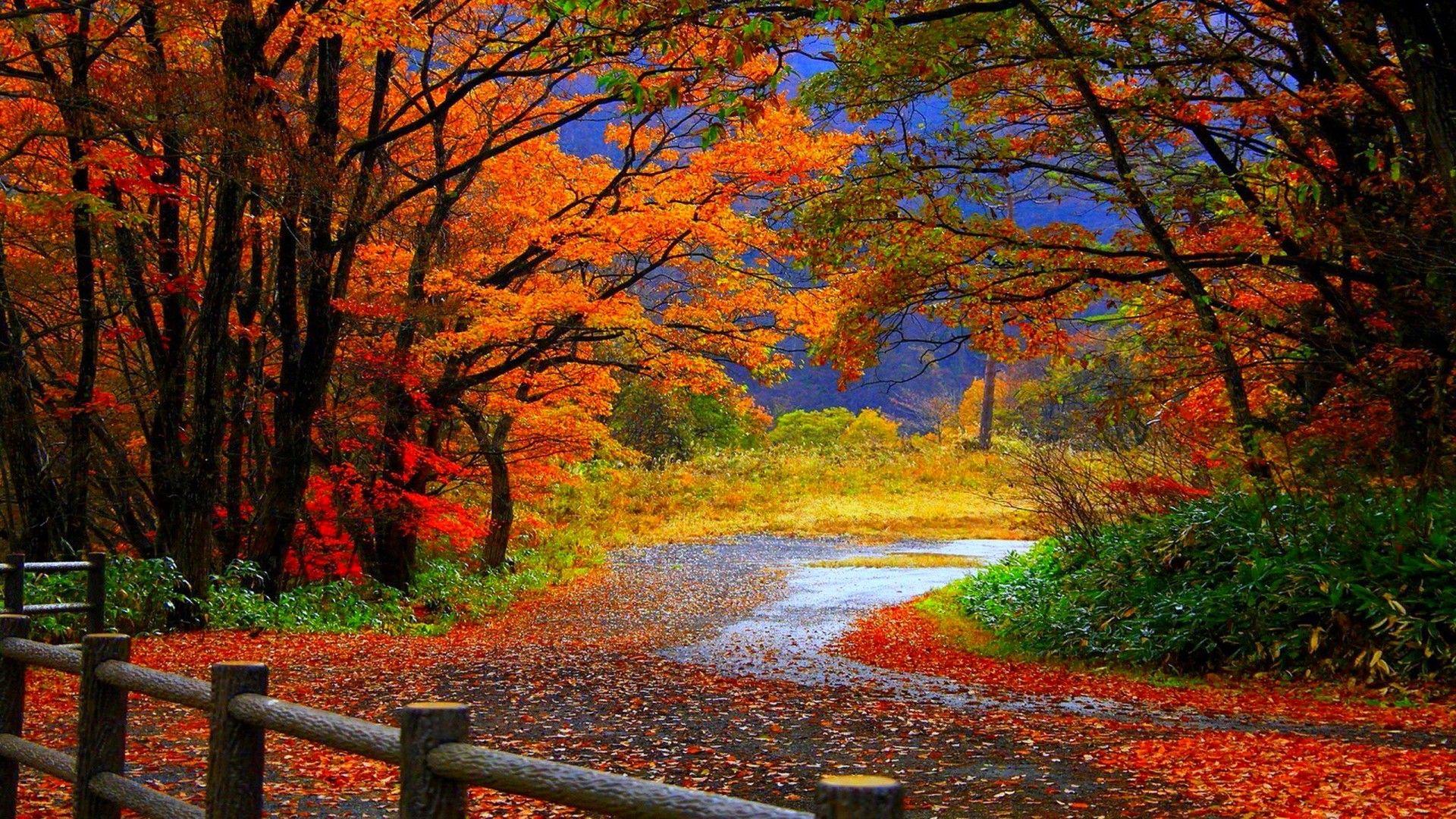 1920x1080 Fall Desktop Wallpaper