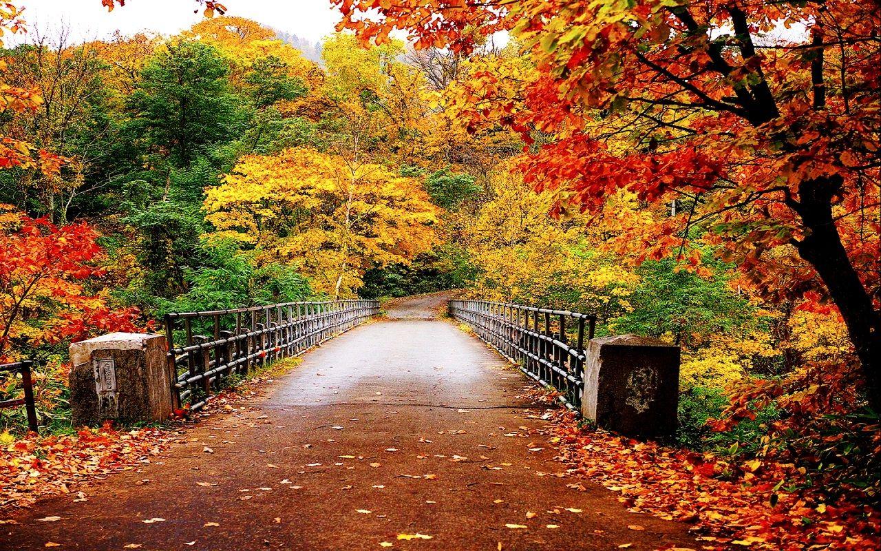 1280x800 Autumn Wallpaper