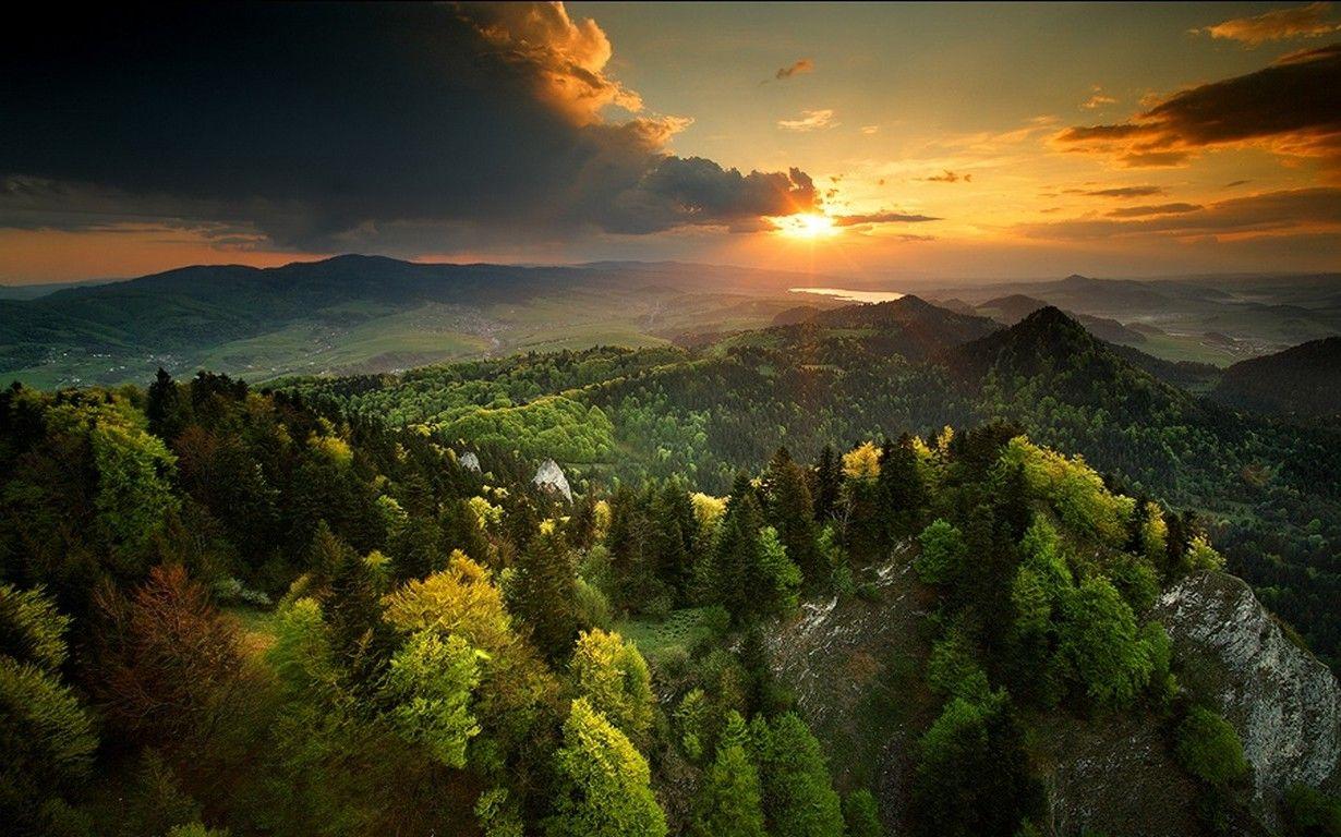 1230x768 nature, Landscape, Spring, Sunset, Forest, Sky, Mountain, Clouds