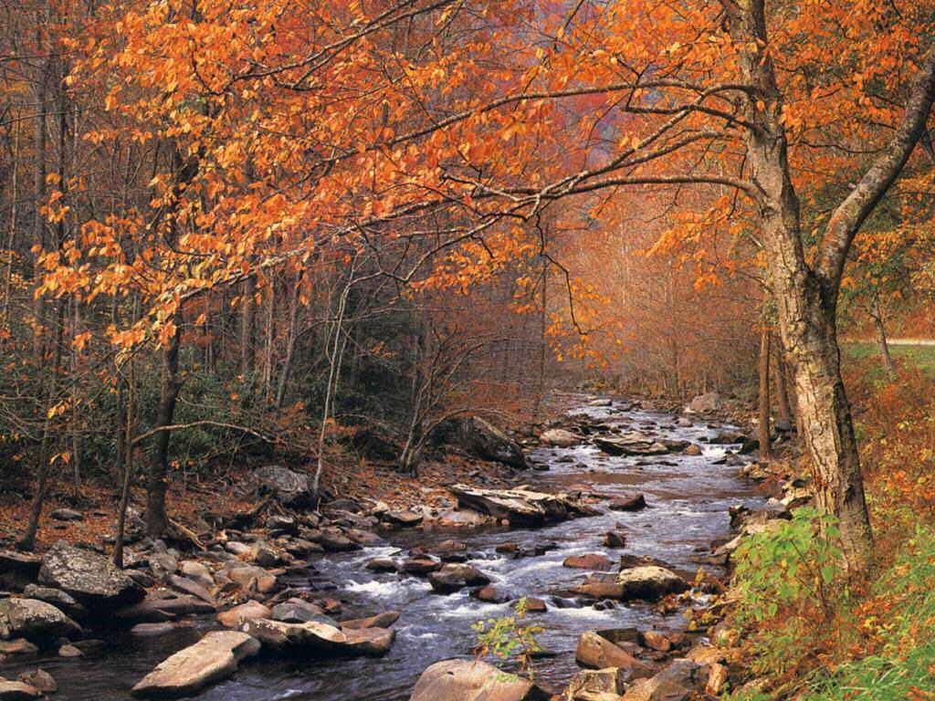 1024x768 Fall Desktop Wallpaper, Wonderful Fall Desktop Wallpaper