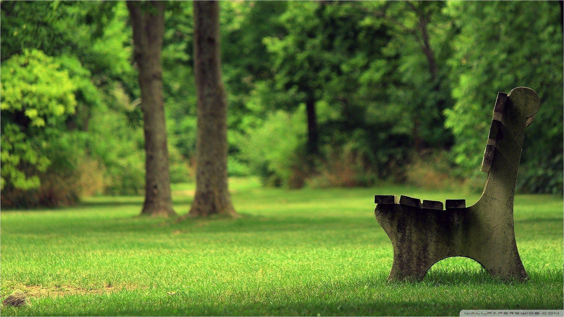 1922x1082 Park Spring