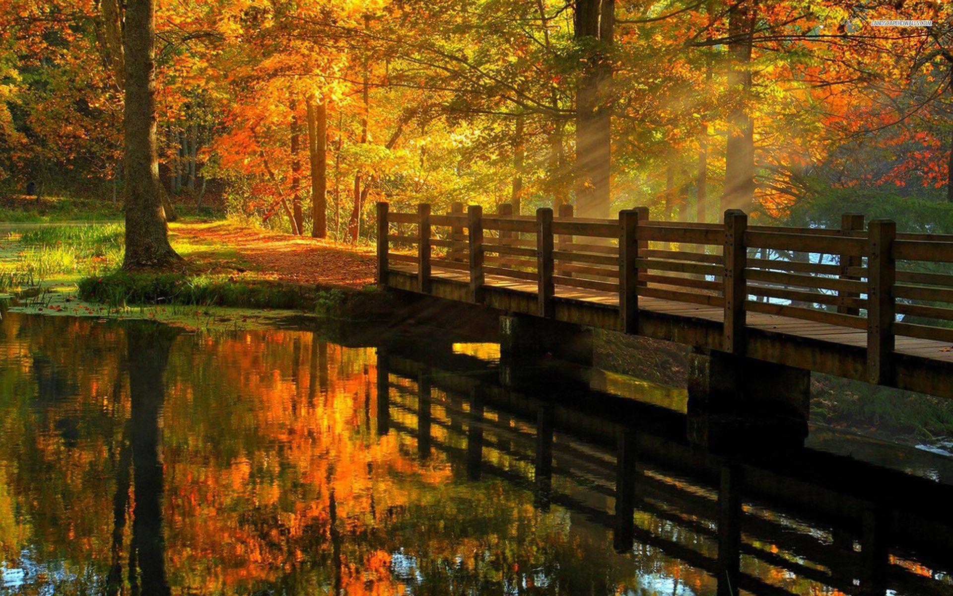 Awesome Autumn Desktop Wallpapers - Top Free Awesome Autumn Desktop ...