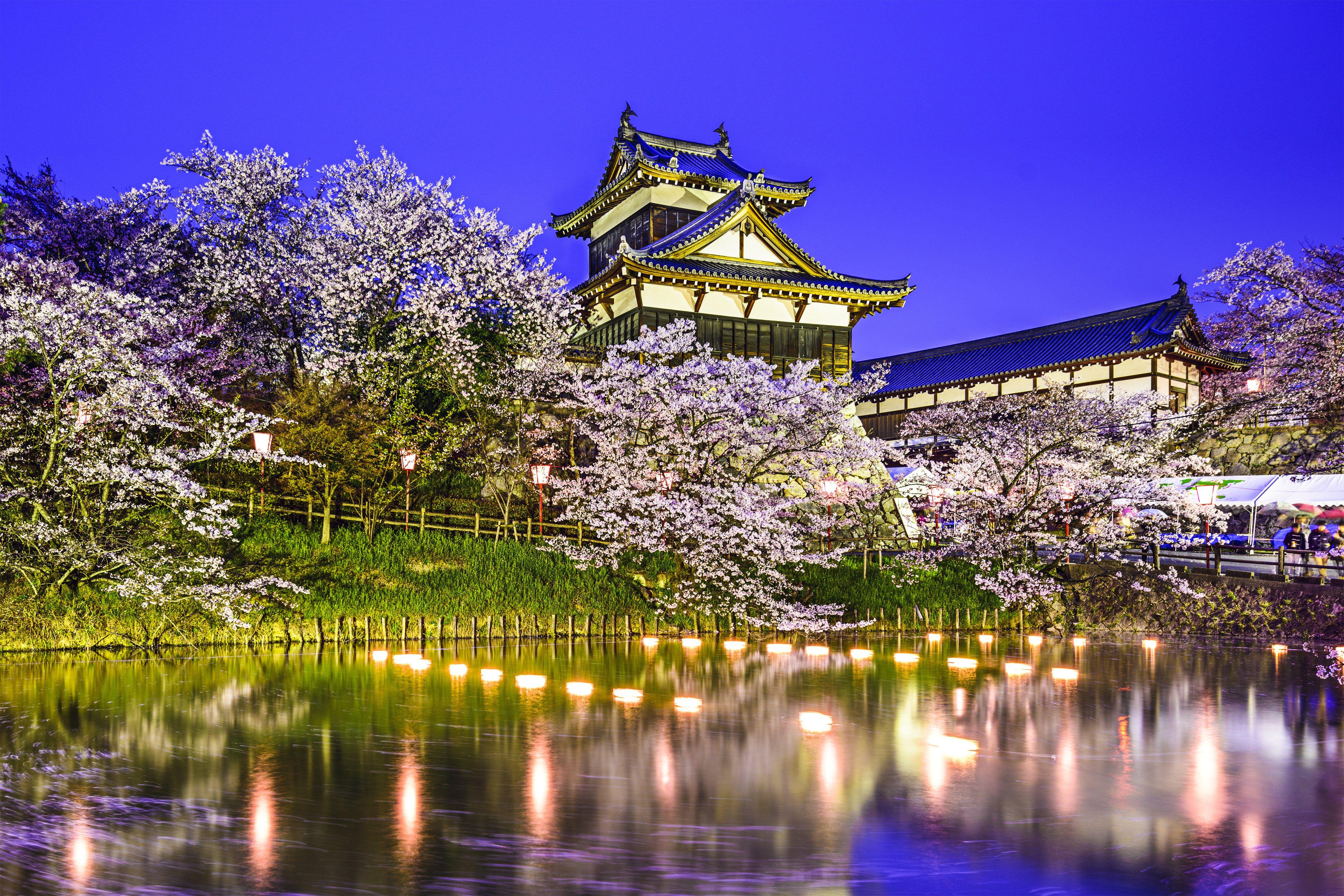5000x3333 Koriyama Castle Yamatokoriyama Japan pond pond spring park trees
