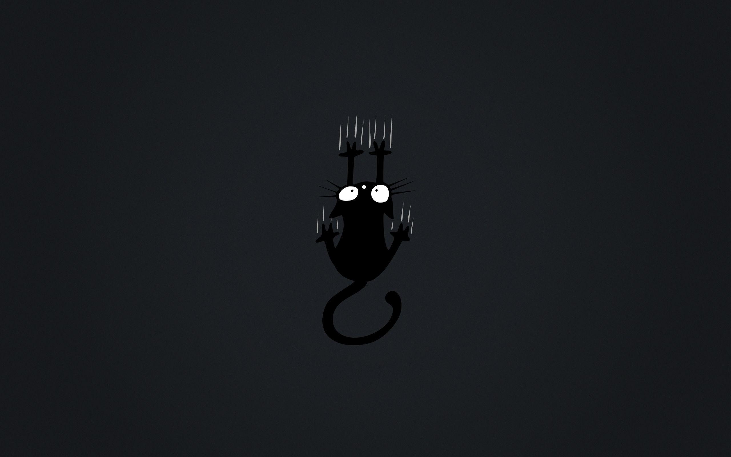 Github wallpapers top free github backgrounds wallpaperaccess