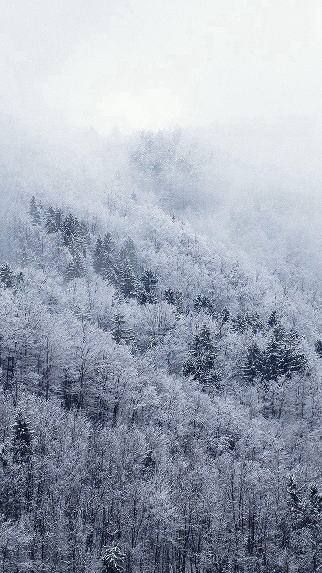 1080x1920 Winter Wallpaper iPhone 6 Beautiful Mountain Wood Winter Christmas