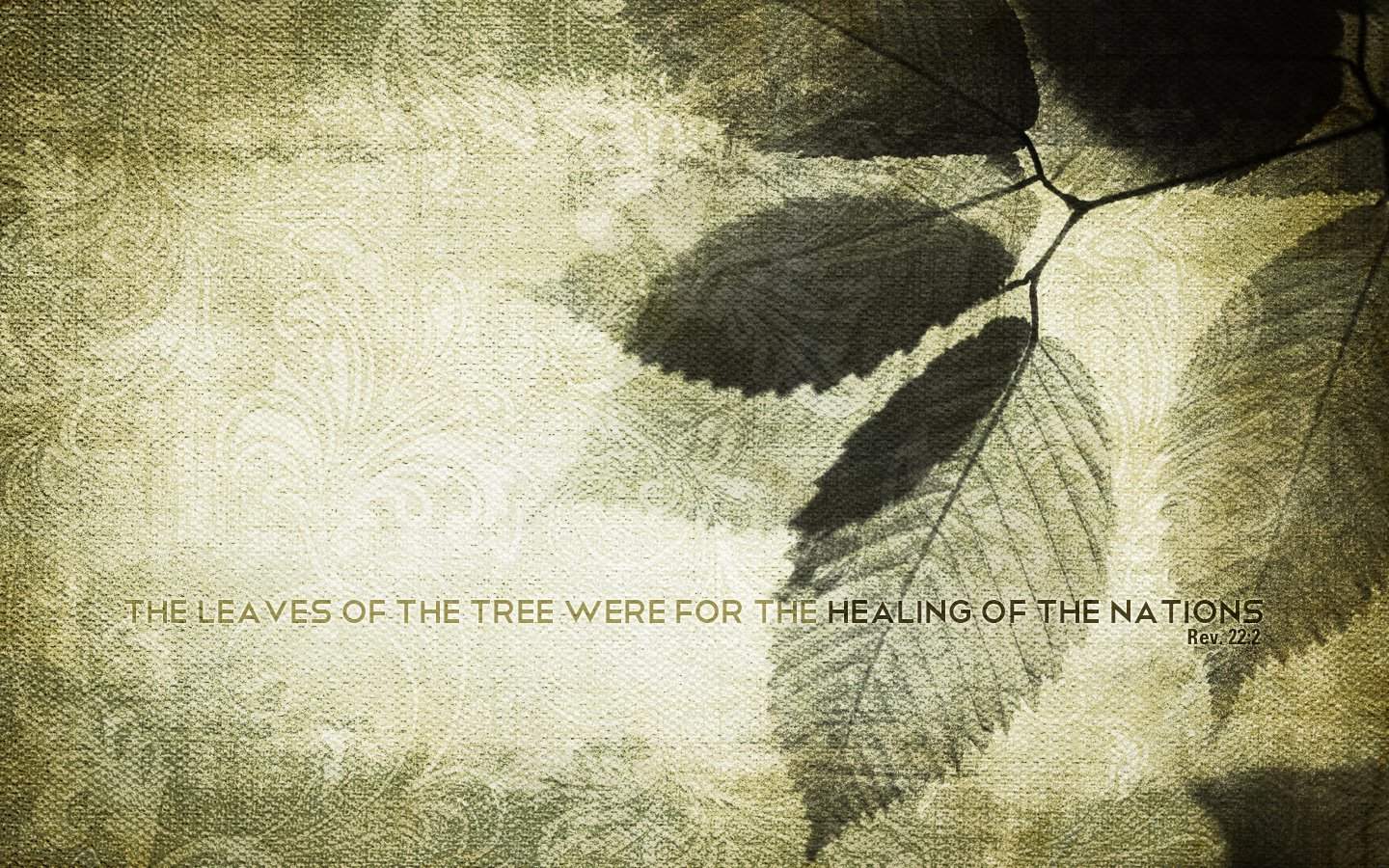 1440x900 Pretty Up Your Desktop. Tim