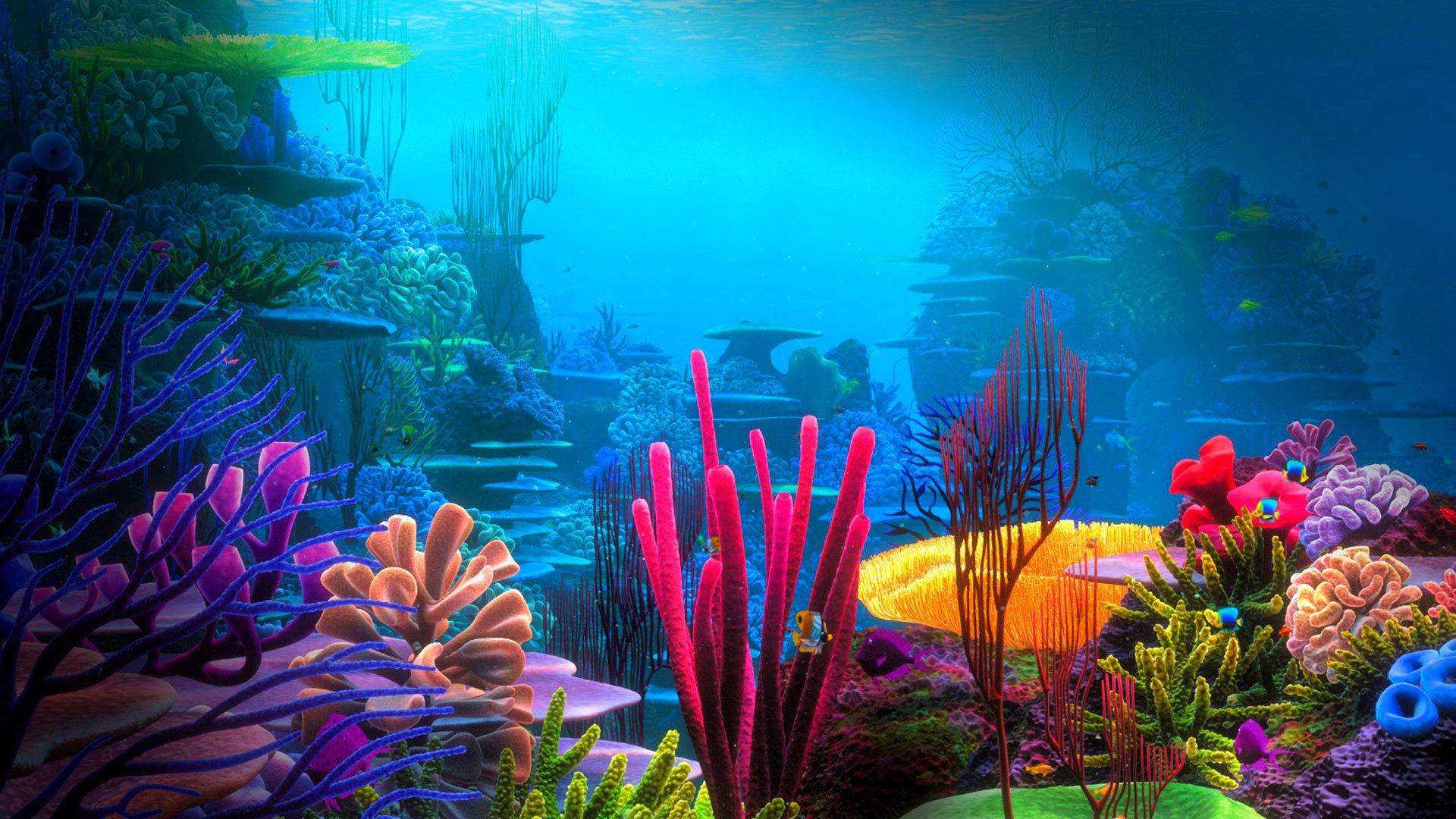 Underwater World Wallpapers - Top Free Underwater World Backgrounds -  WallpaperAccess