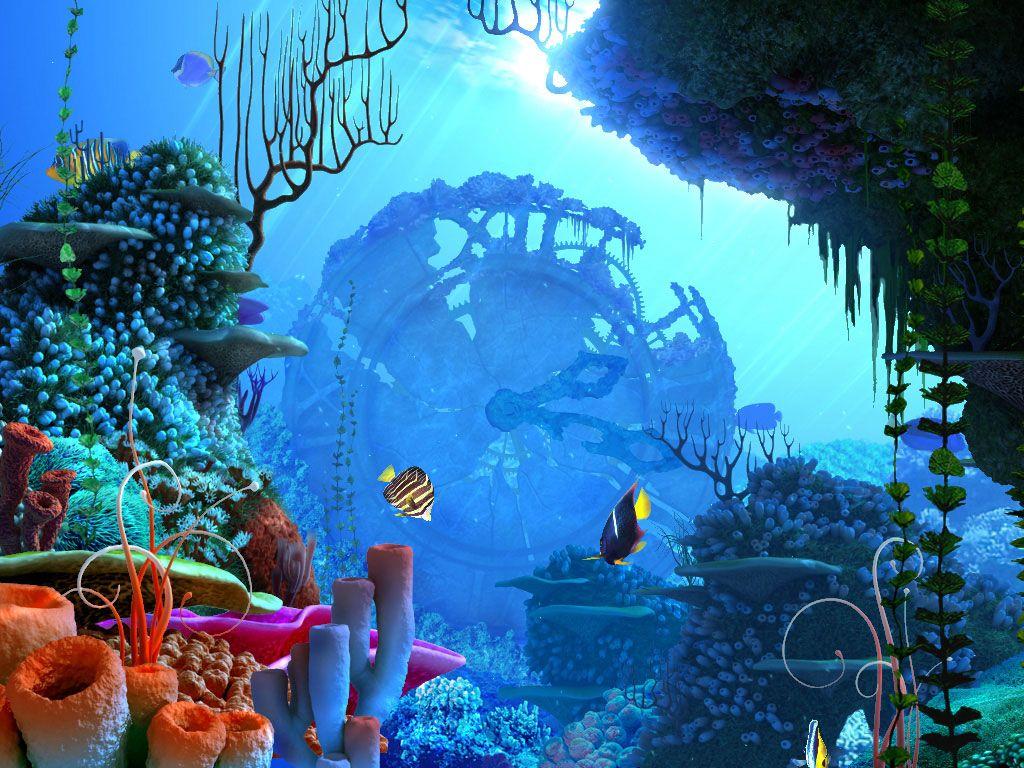 Underwater World Wallpapers Top Free Underwater World Backgrounds WallpaperAccess