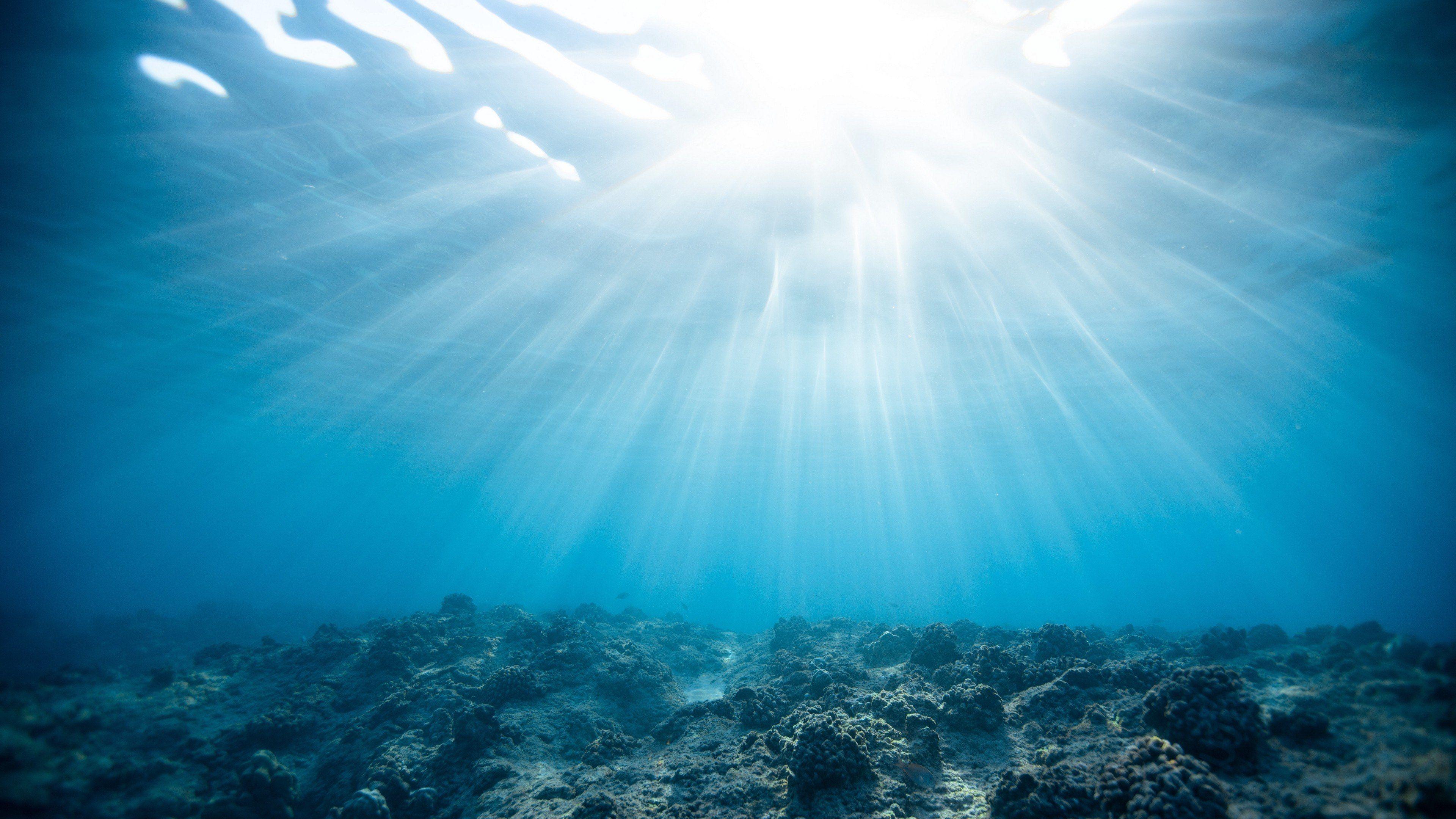 3840x2160 4K Underwater World Ocean Wallpaper 44378