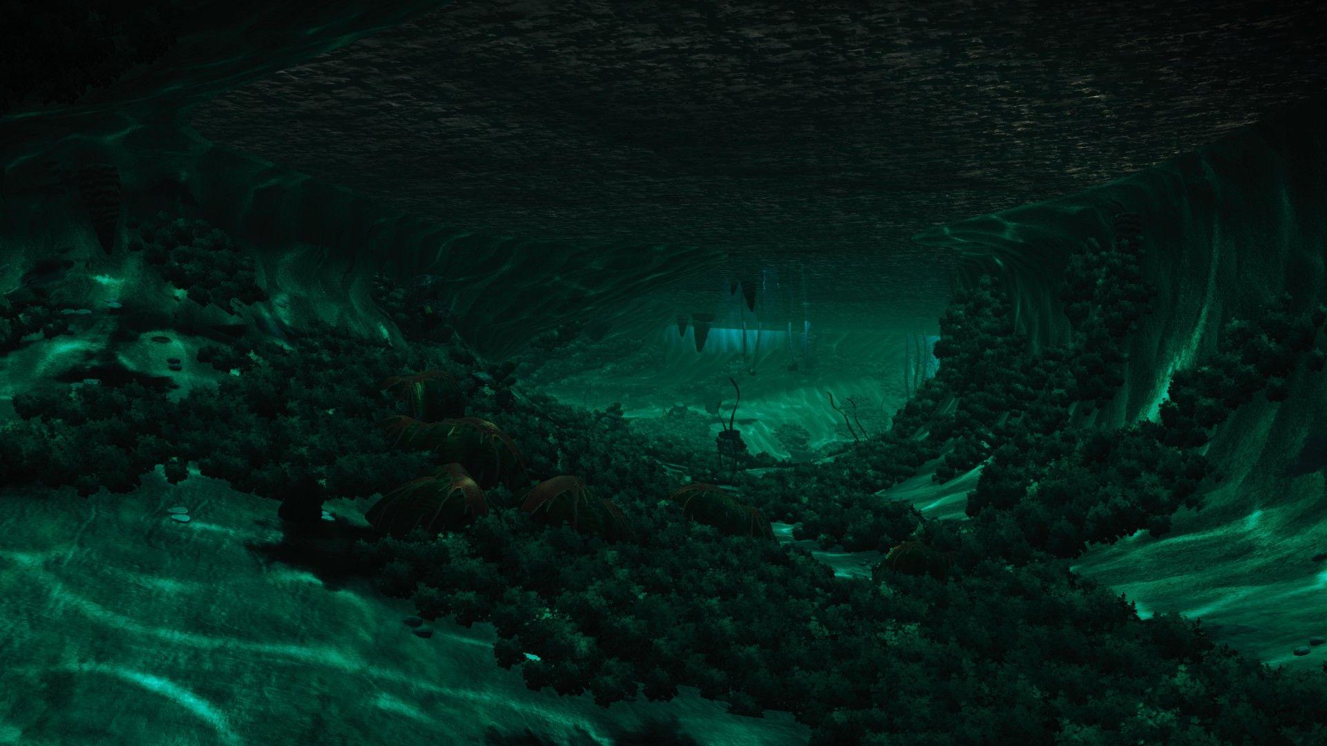 1920x1080 Underwater Cave