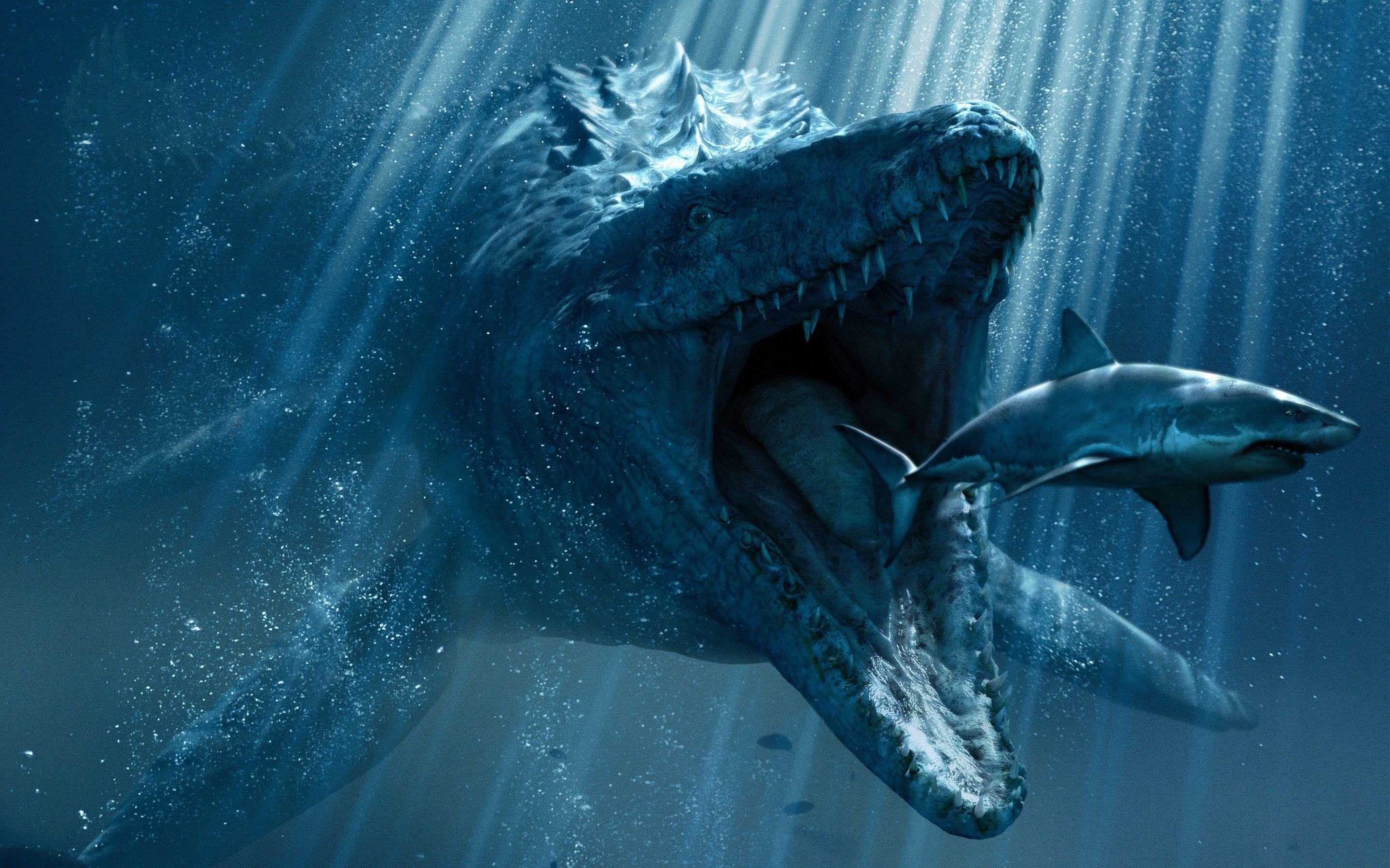 2880x1800 Underwater Desktop Wallpaper