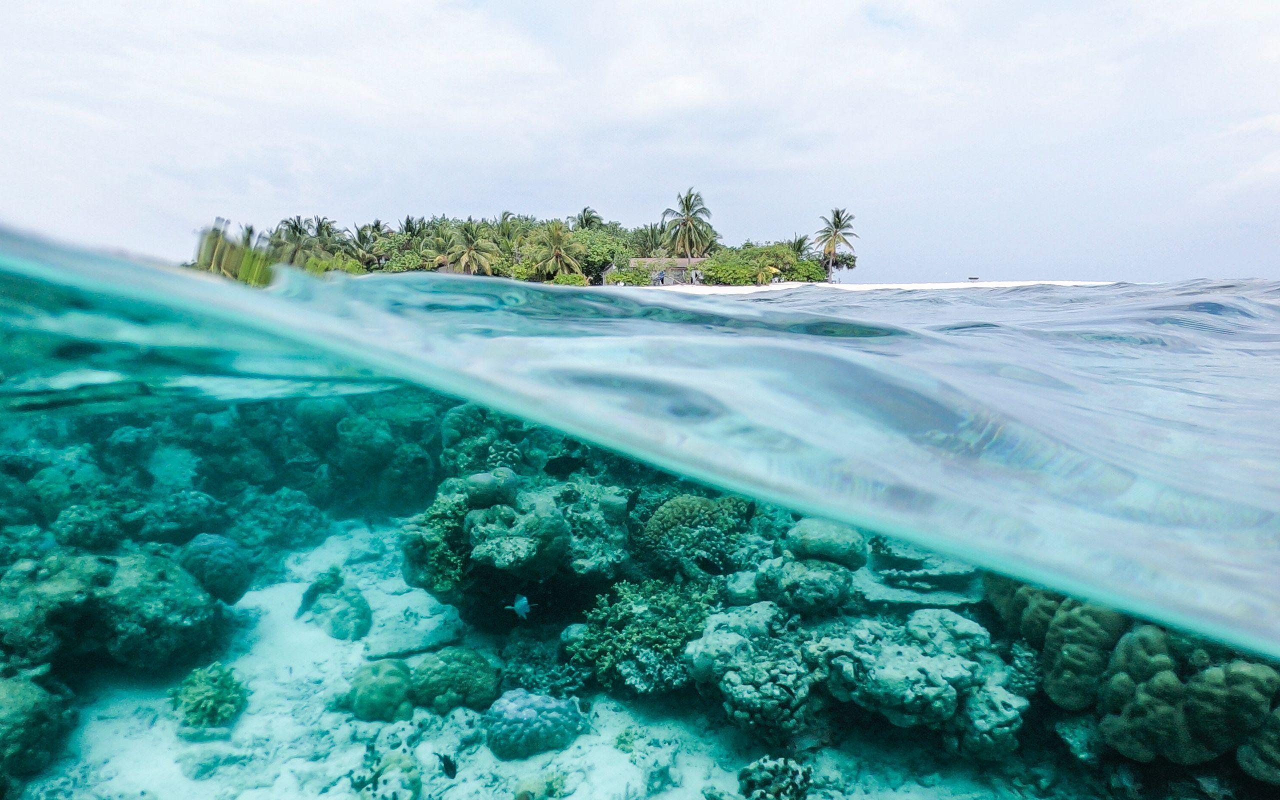 2560x1600 Download wallpaper 2560x1600 ocean, underwater world, water