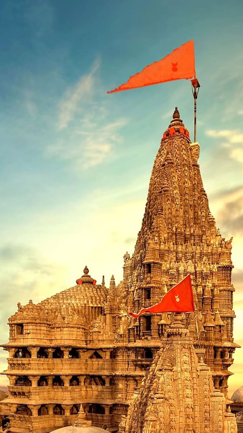 800x1422 Dwarkadhish Temple, Lord Krishna, dwarkadhish, god, HD phone wallpaper