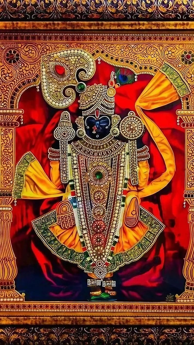 800x1422 Dwarkadhish, Frame, lord krishna, god, HD phone wallpaper