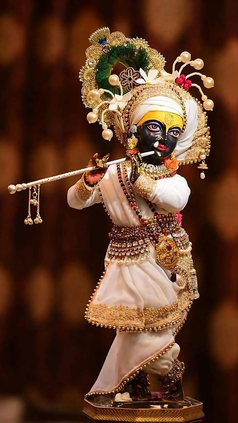 800x1422 Dwarkadhish, Black Statue, lord krishna, god, kanha, HD phone wallpaper
