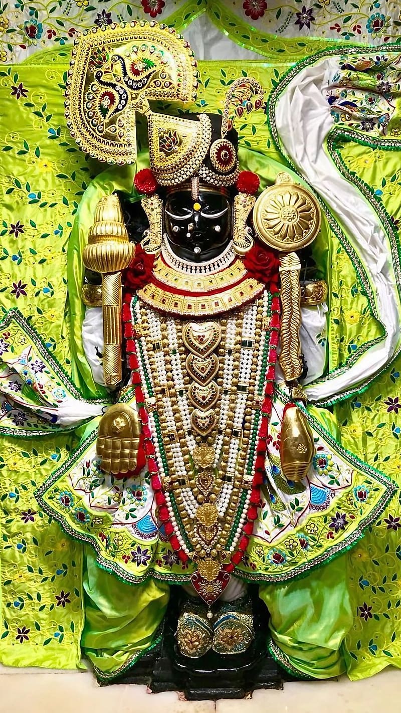 800x1422 Dwarkadhish, Lord Krishna In Green Dress, god, temple, HD phone wallpaper