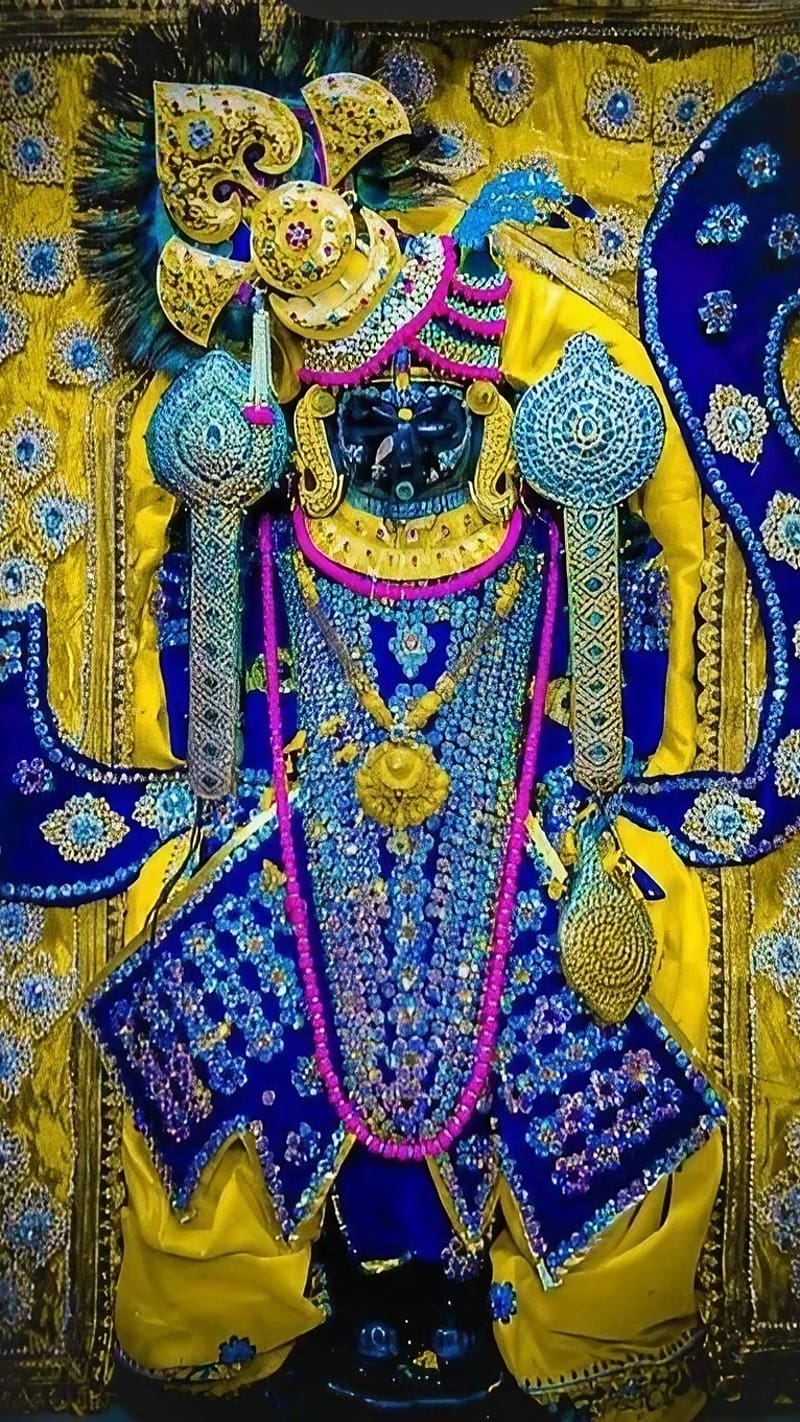 800x1422 Dwarkadhish, Lord Krishna In Blue And Yellow Dress, god, lord krishna temple, HD phone wallpaper