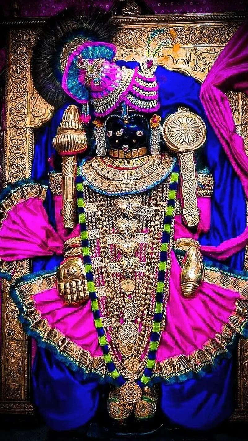 800x1422 Dwarkadhish, God Krishna In Pink Dress, lord krishna, lord krishna temple statue, HD phone wallpaper