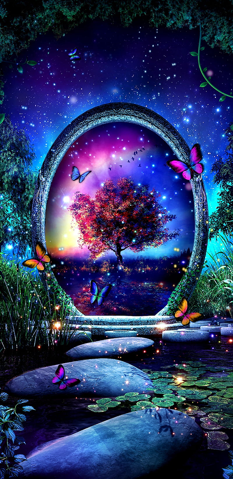 800x1644 HD world bonito wallpaper