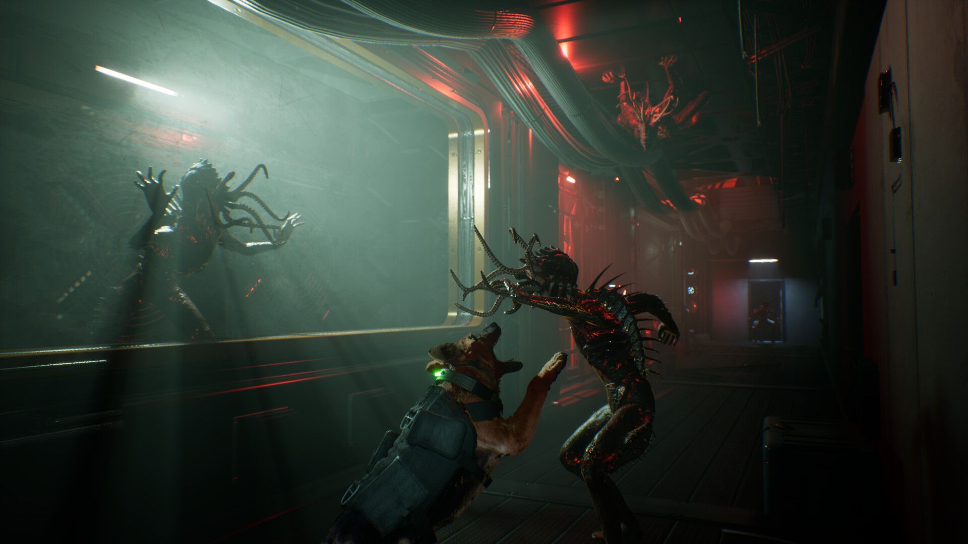 1920x1080 DARKWATCH on Steam