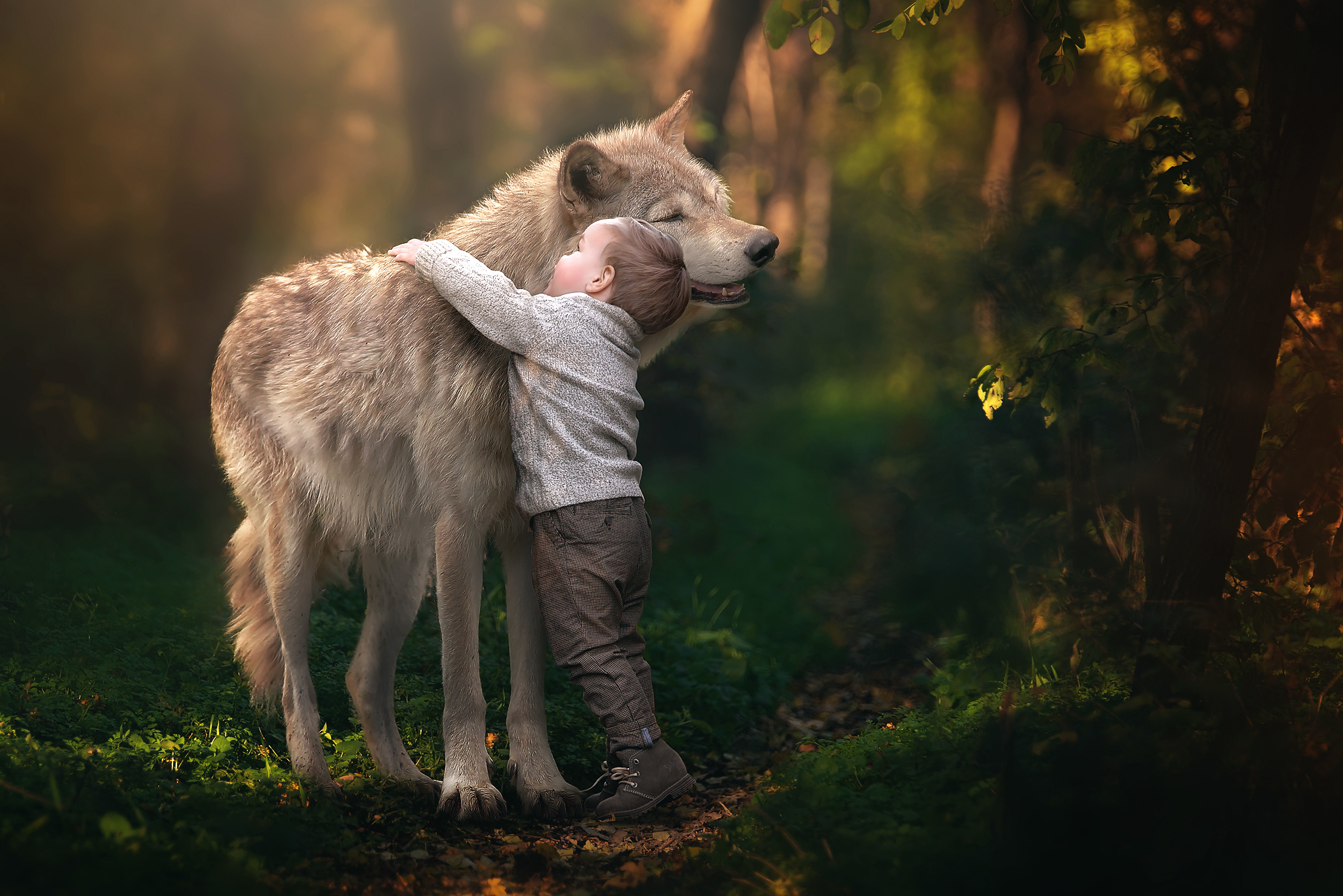 2048x1367 Wallpaper wolf, boy, friendship for mobile and desktop, section рендеринг, resolution 2048x1367