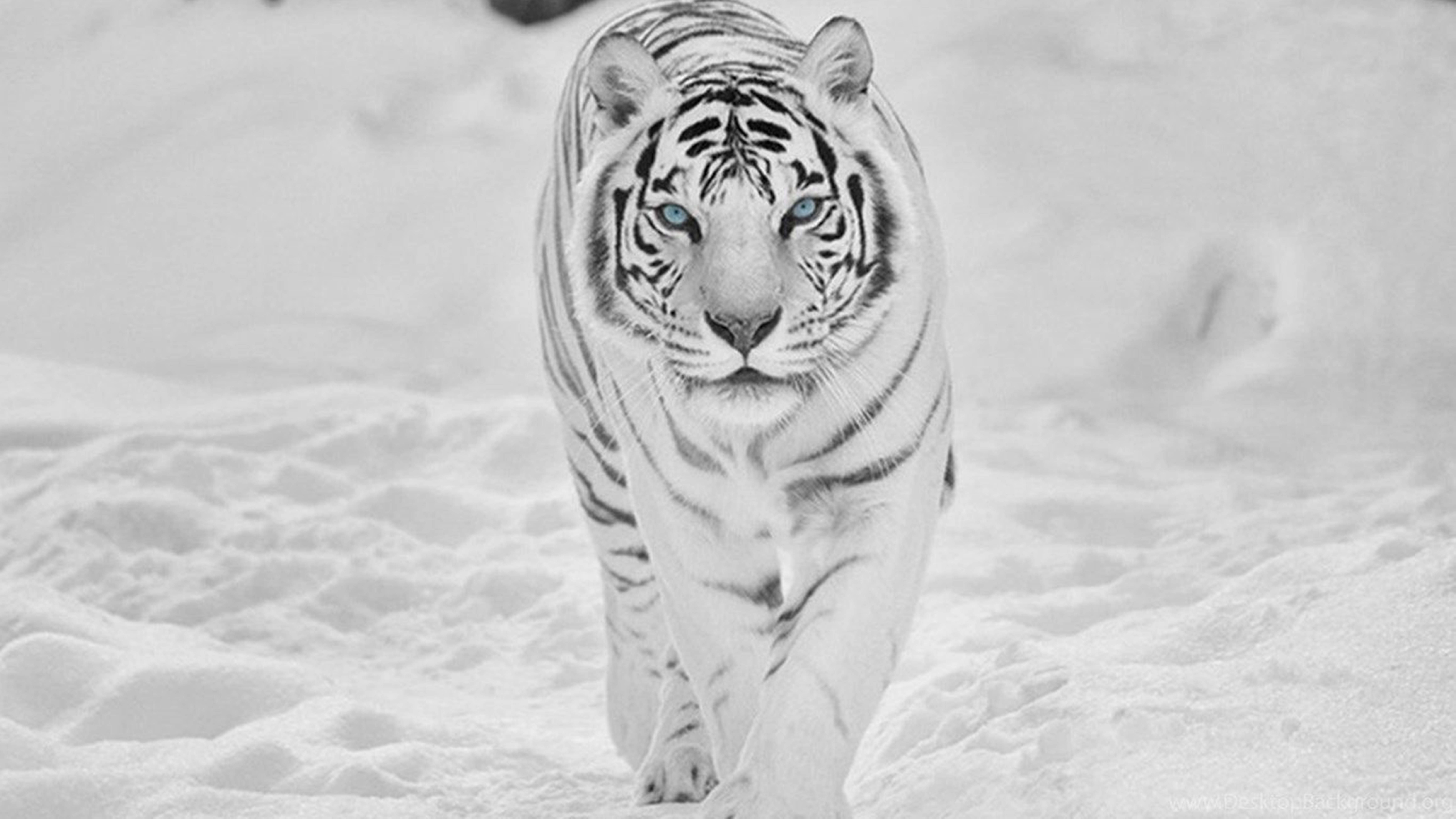 9338x5250 8k White Wallpaper