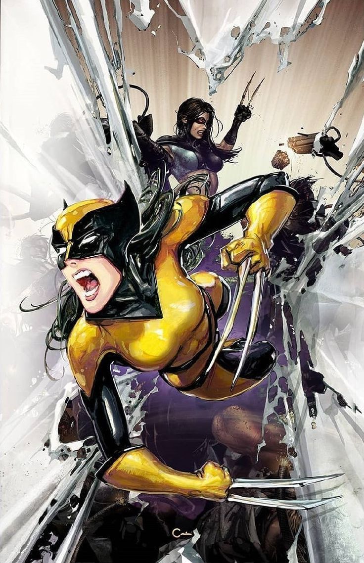 736x1138 Wolverine (Laura Kinney)