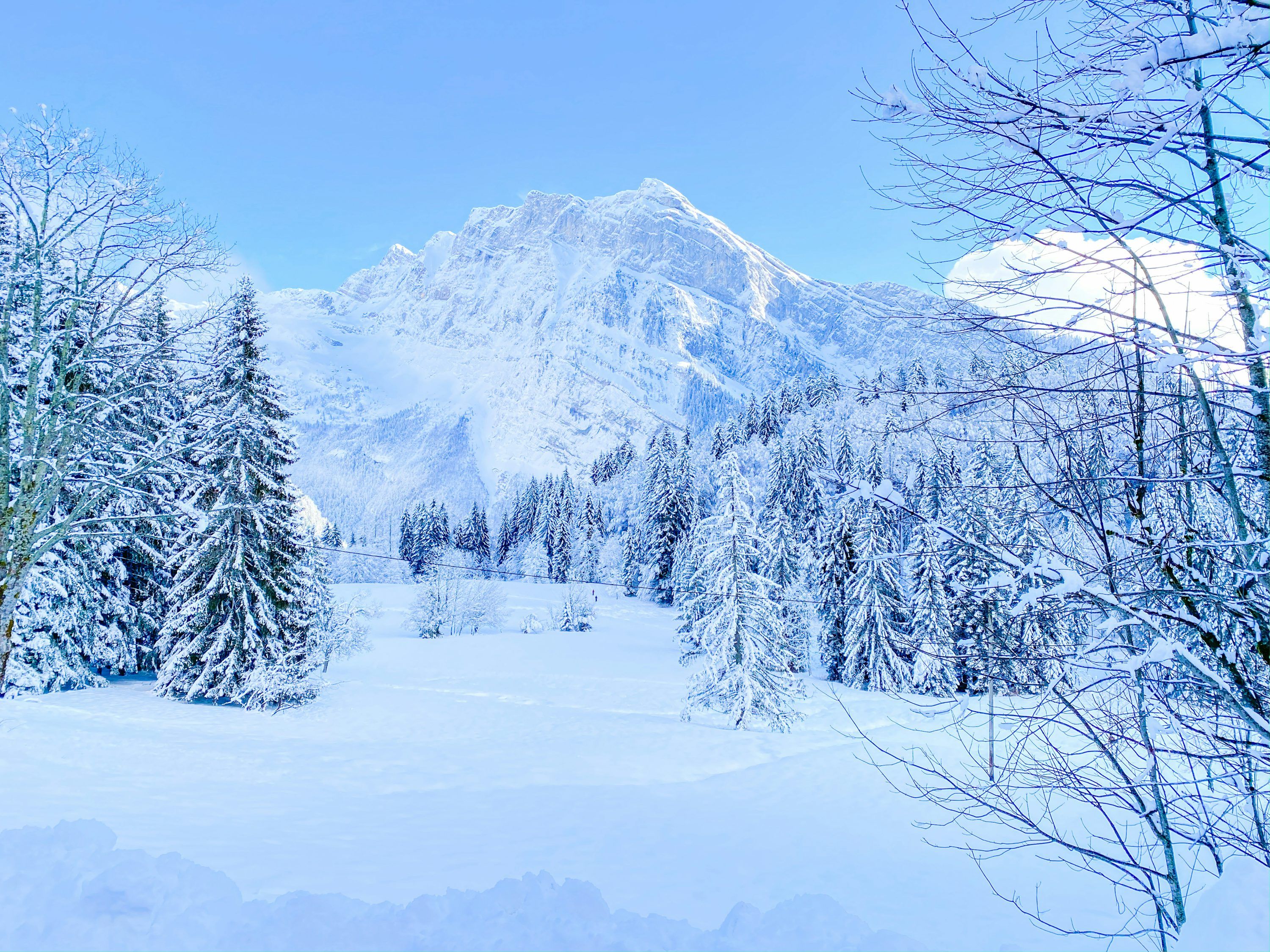 3000x2250 A snowy landscape with trees and mountains in the background photo