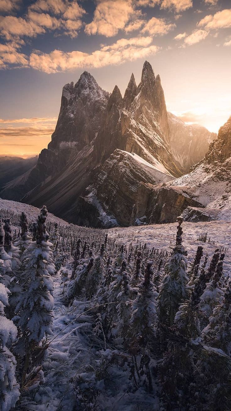 736x1308 Montaña Nevada::Click here to download cute wallpaper Montaña Nevada Download cute wallpa