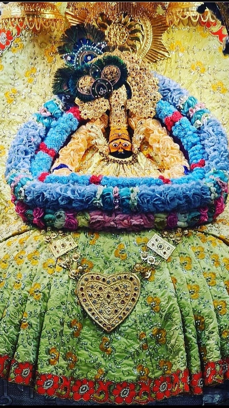 800x1423 Khatu Wale Shyam Ji Ke, lord khatu, lord, khatu, wale, baba, HD phone wallpaper