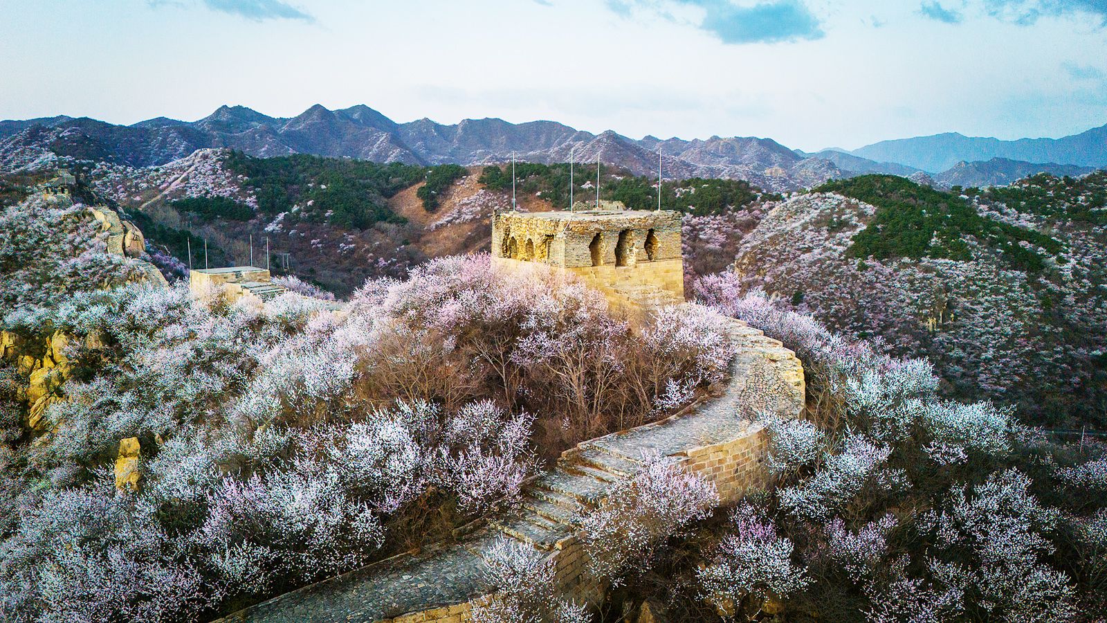 1600x900 Floral landscape at the Great Wall