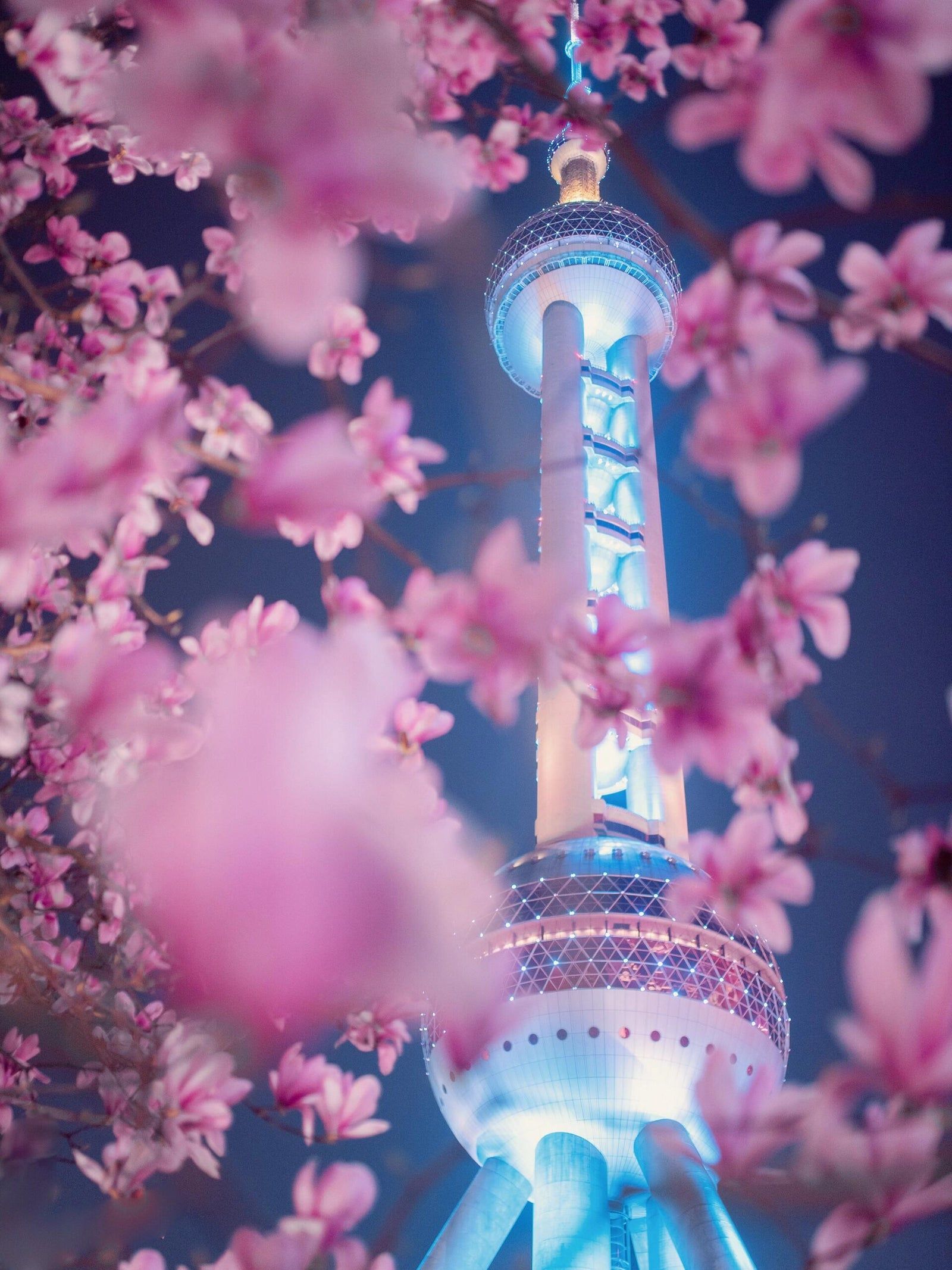 1600x2133 China in March: Where Spring Awakens