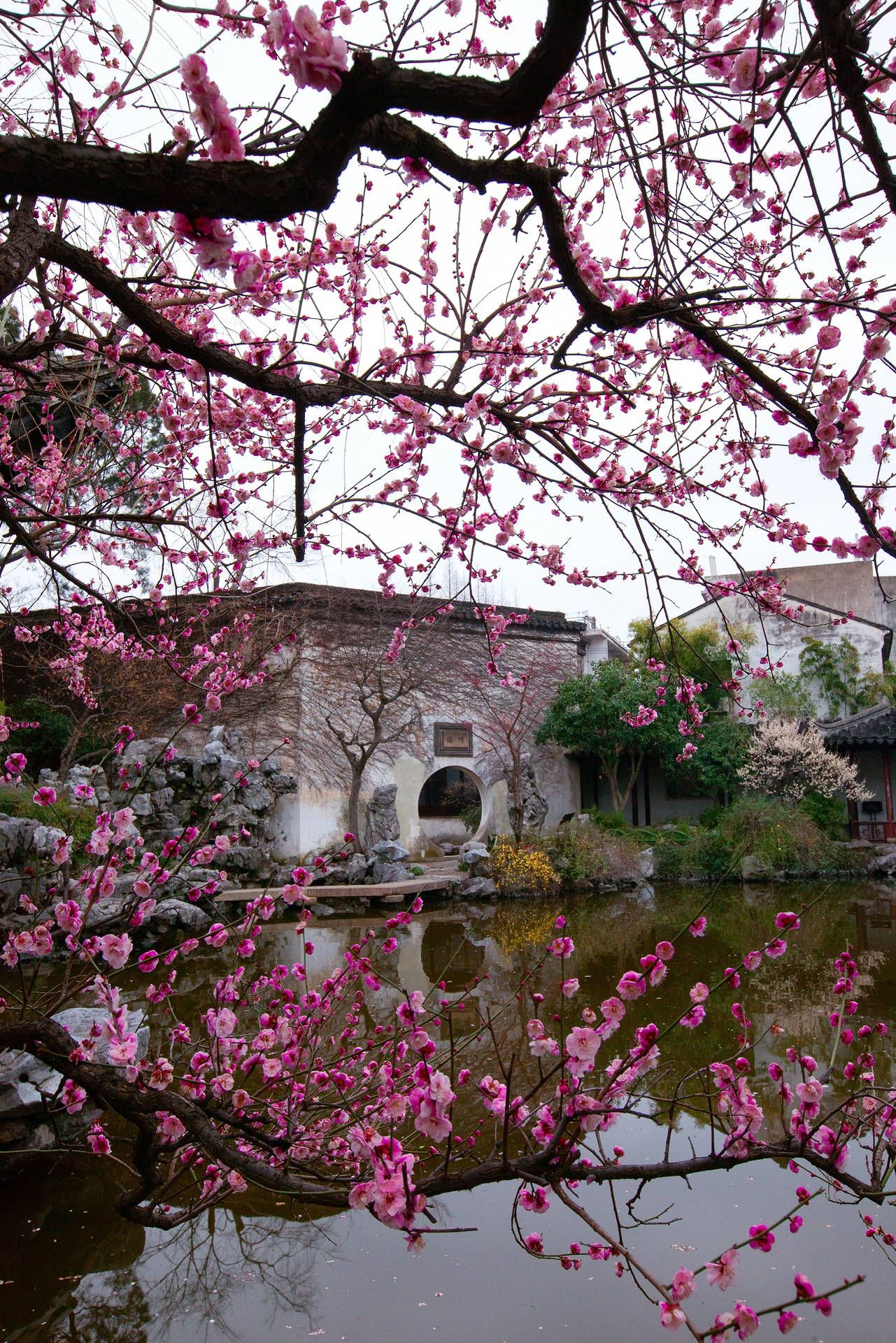 1281x1920 Suzhou Wallpaper