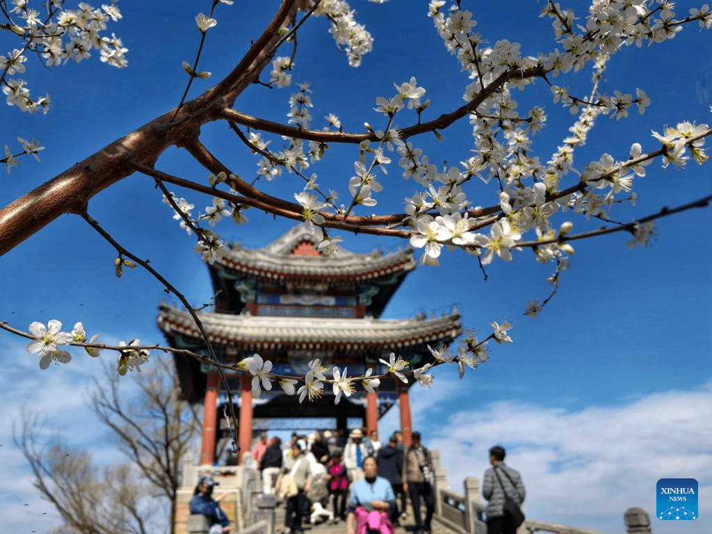 1024x768 Spring Scenery Across China Xinhua