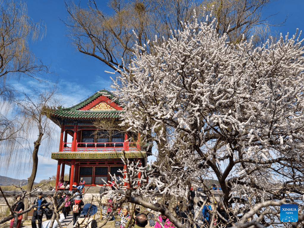 1024x768 Spring Scenery Across China Xinhua