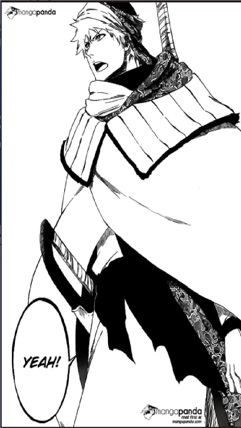 800x1422 Ichigo, bankai, bleach, zangetsu, HD phone wallpaper