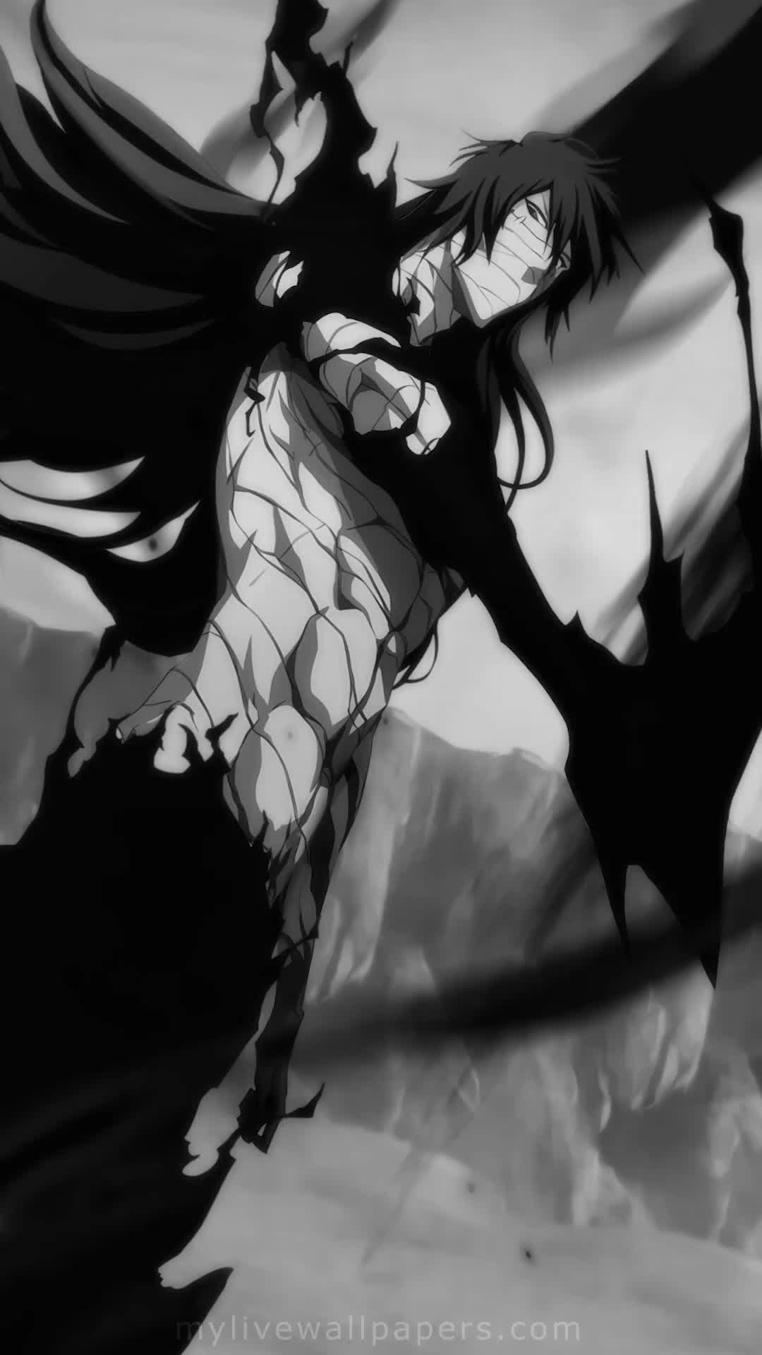 1080x1920 Zangetsu Live Wallpaper