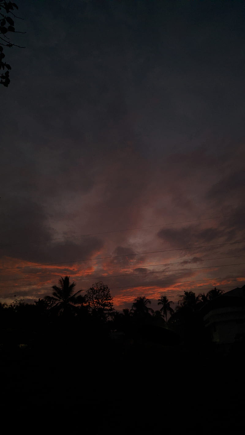 800x1422 Sky, aesthetic, black, lofi, love, mood, peace, sunset, trees, vibes, HD phone wallpaper