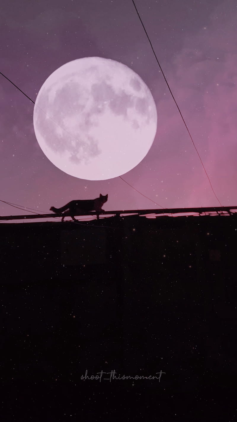 800x1422 HD lofi moon wallpaper