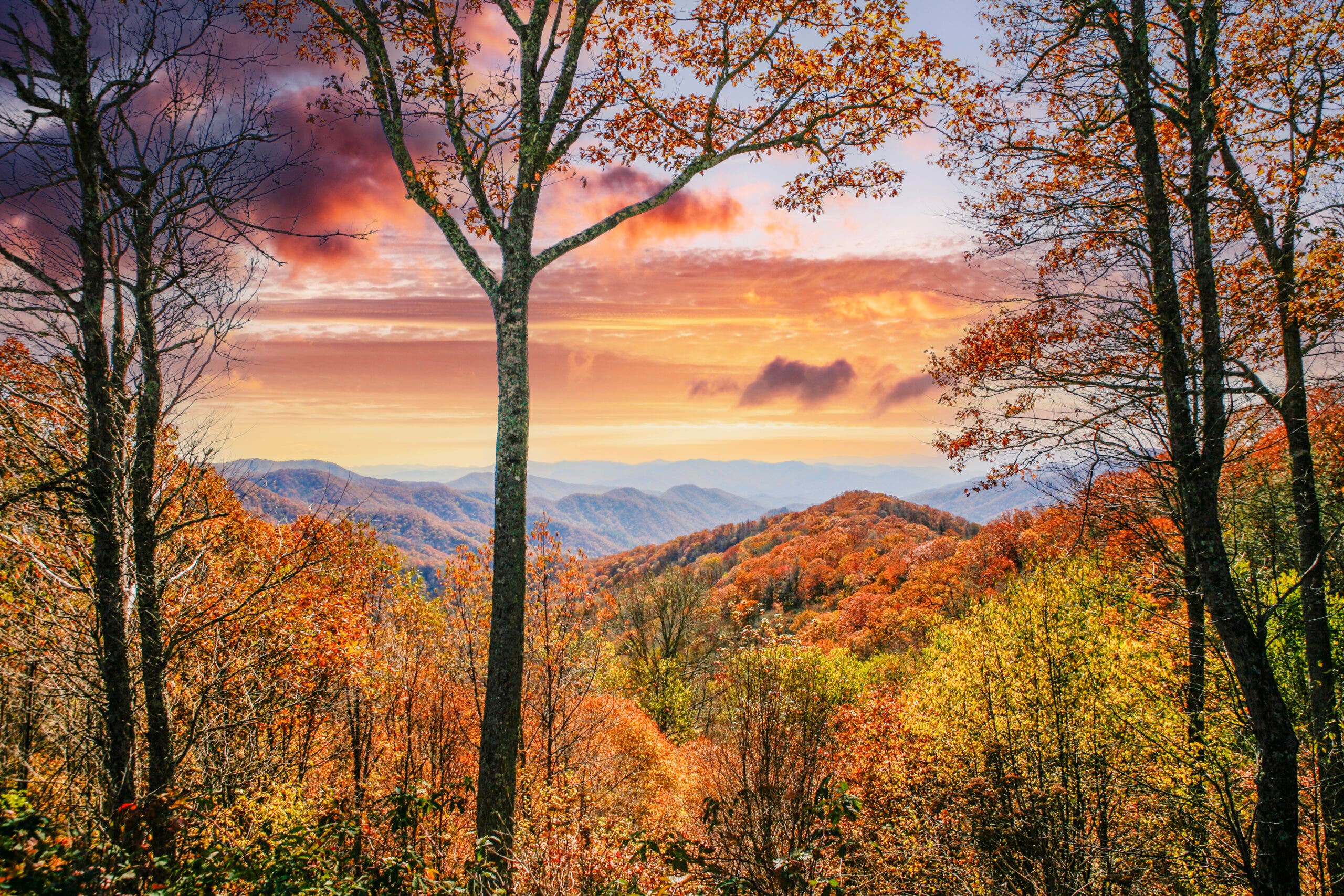 2560x1707 The Best National Parks for Fall Foliage Adventures