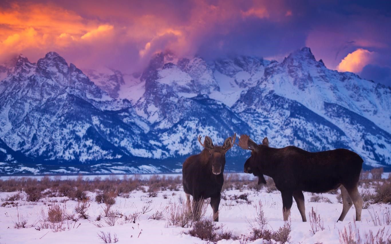 1366x853 US National Parks download and install on Windows