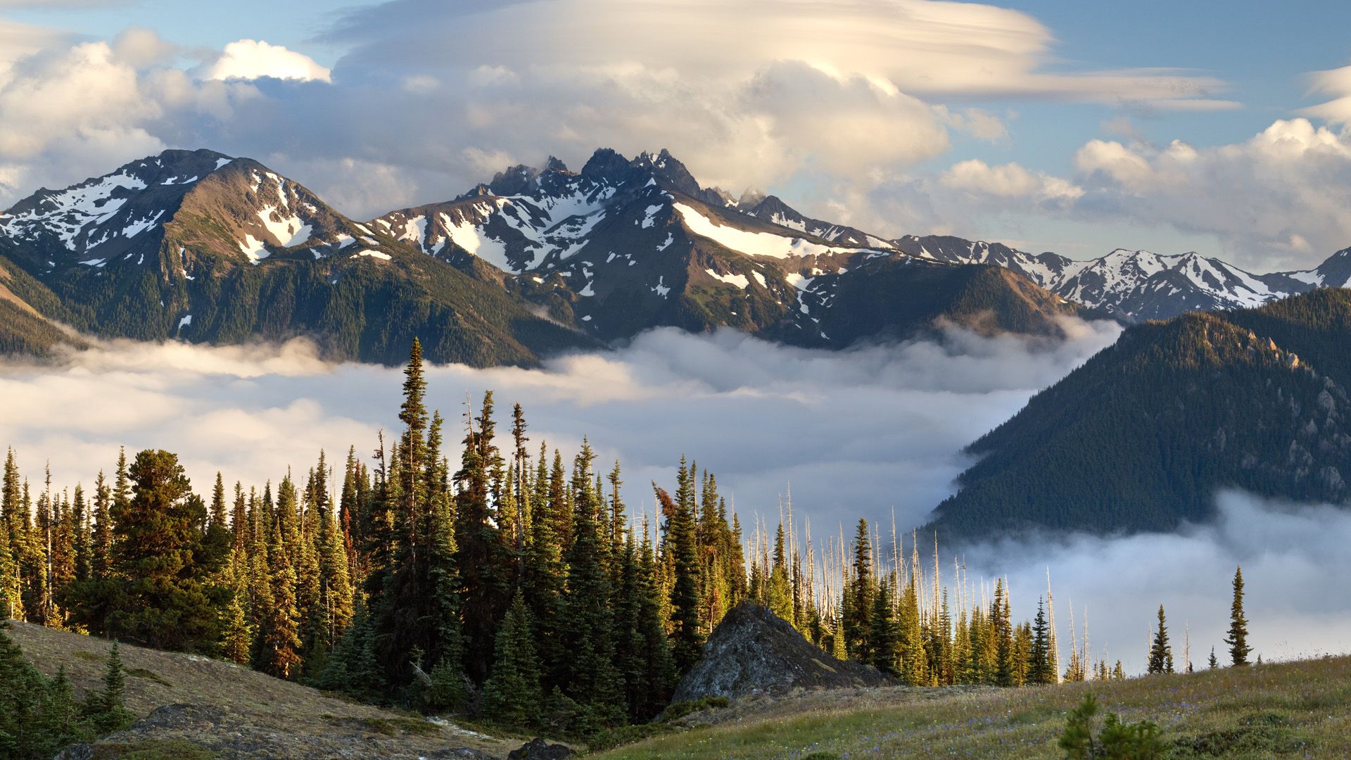 1920x1080 Olympic National Park: Majestic Mountains and Misty Forests of Washington