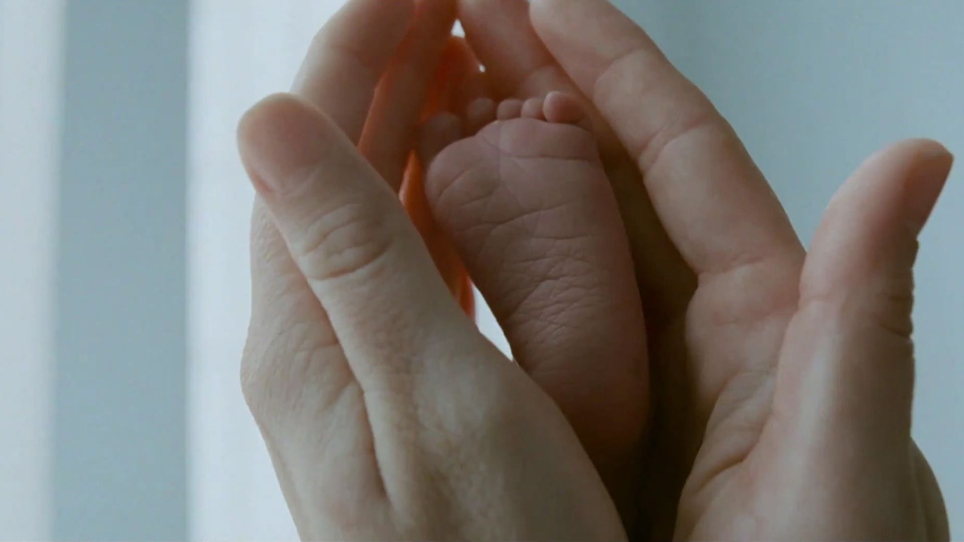 1920x1080 Download Feet Hand Movie The Tree Of Life HD Wallpaperx1080