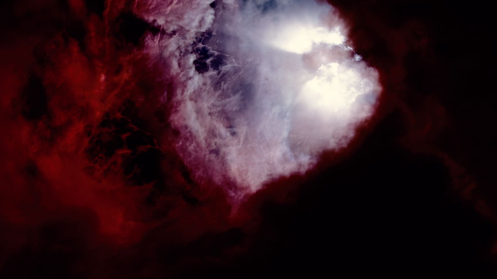 1600x900 Traveling Across the Eons in THE TREE OF LIFE