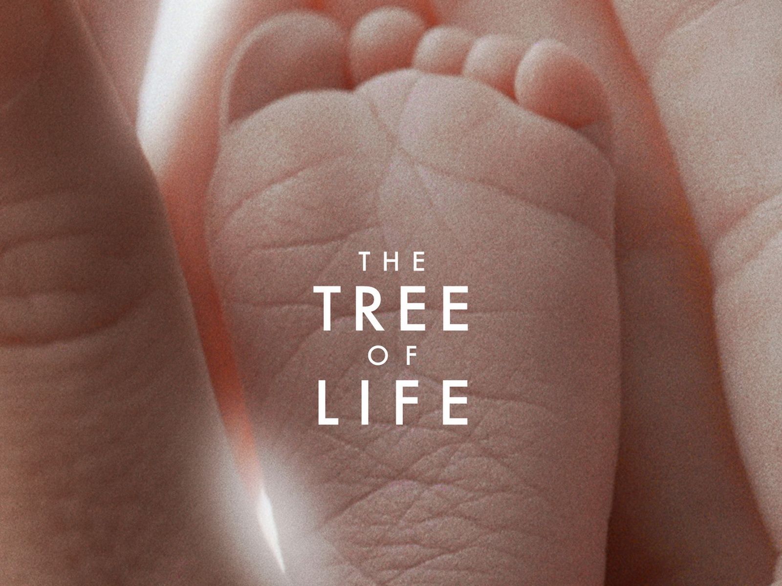 1600x1200 The Two Natures of God in The Tree of Life. In the Image