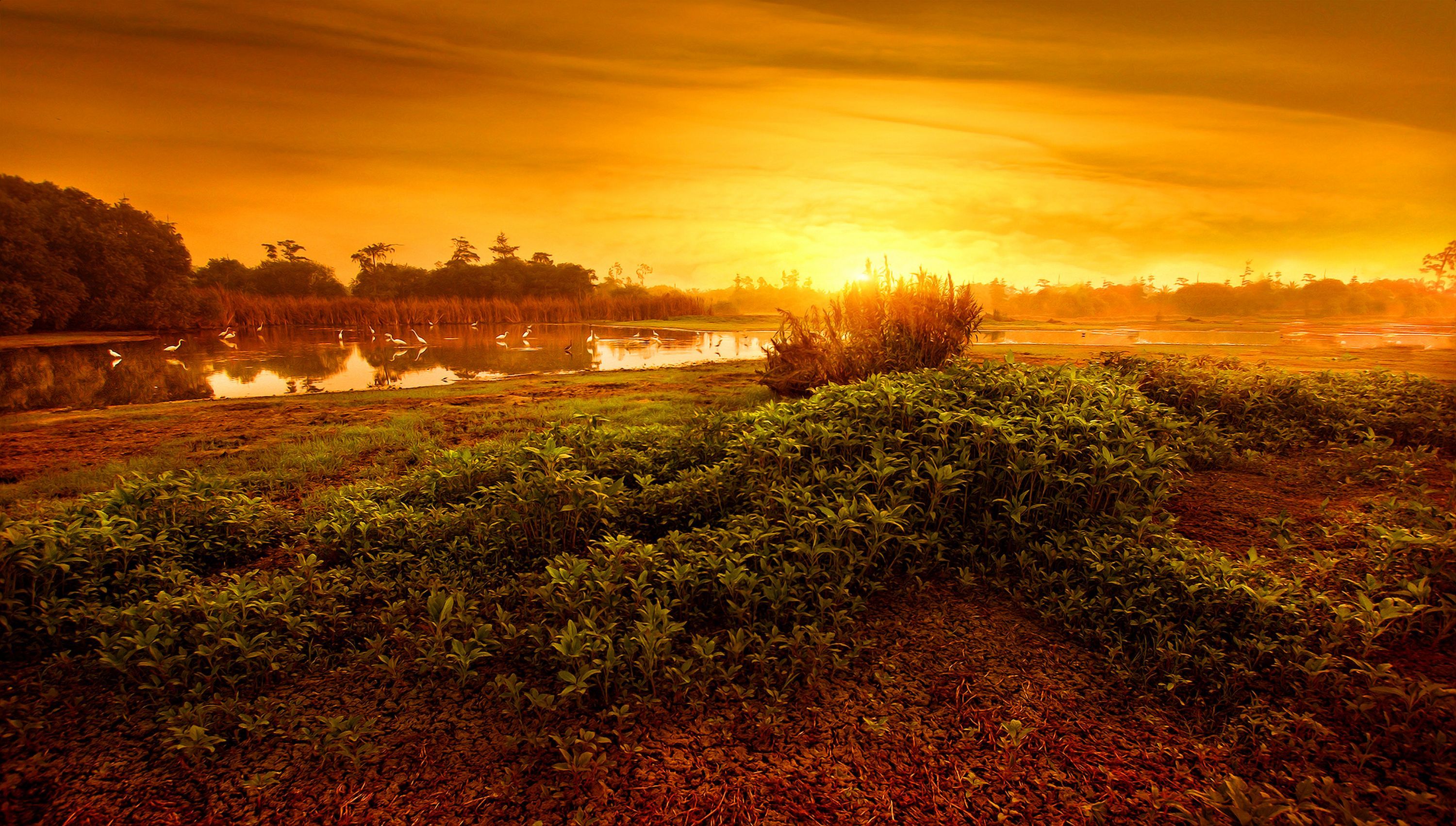 3000x1701 8k Wallpaper Photo, Download The BEST Free 8k Wallpaper & HD Image