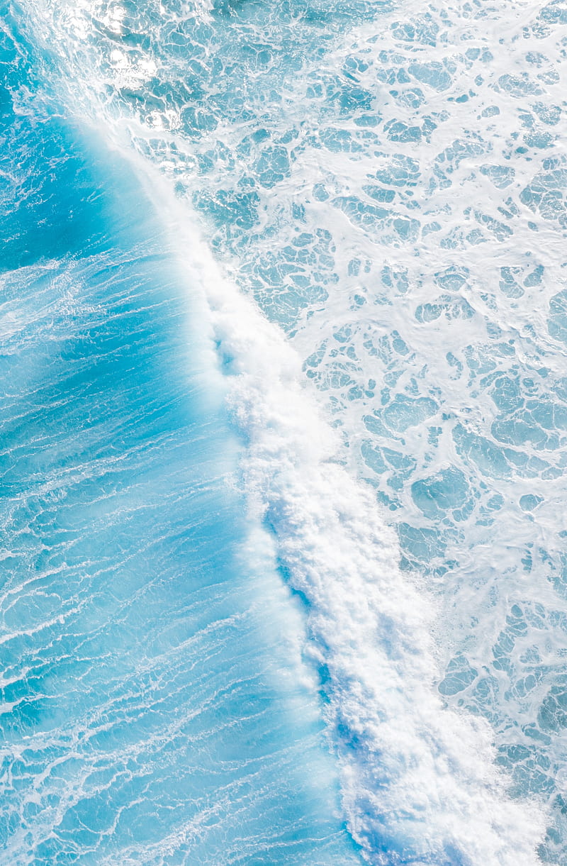 800x1221 HD nature 8k ultra wallpaper