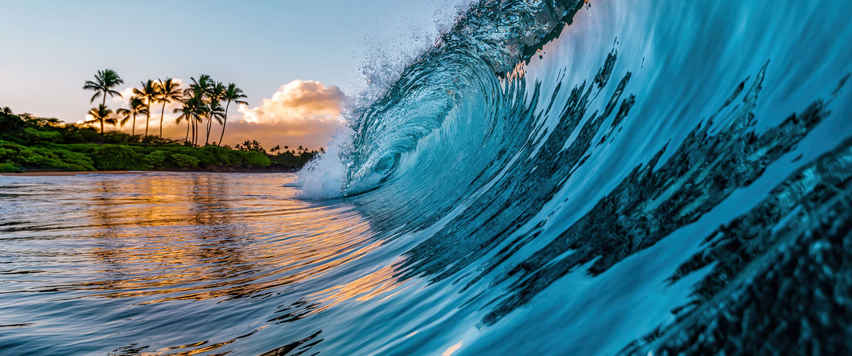 3440x1440 Ocean Waves Wallpaper 4K, Palm trees, Tropical beach
