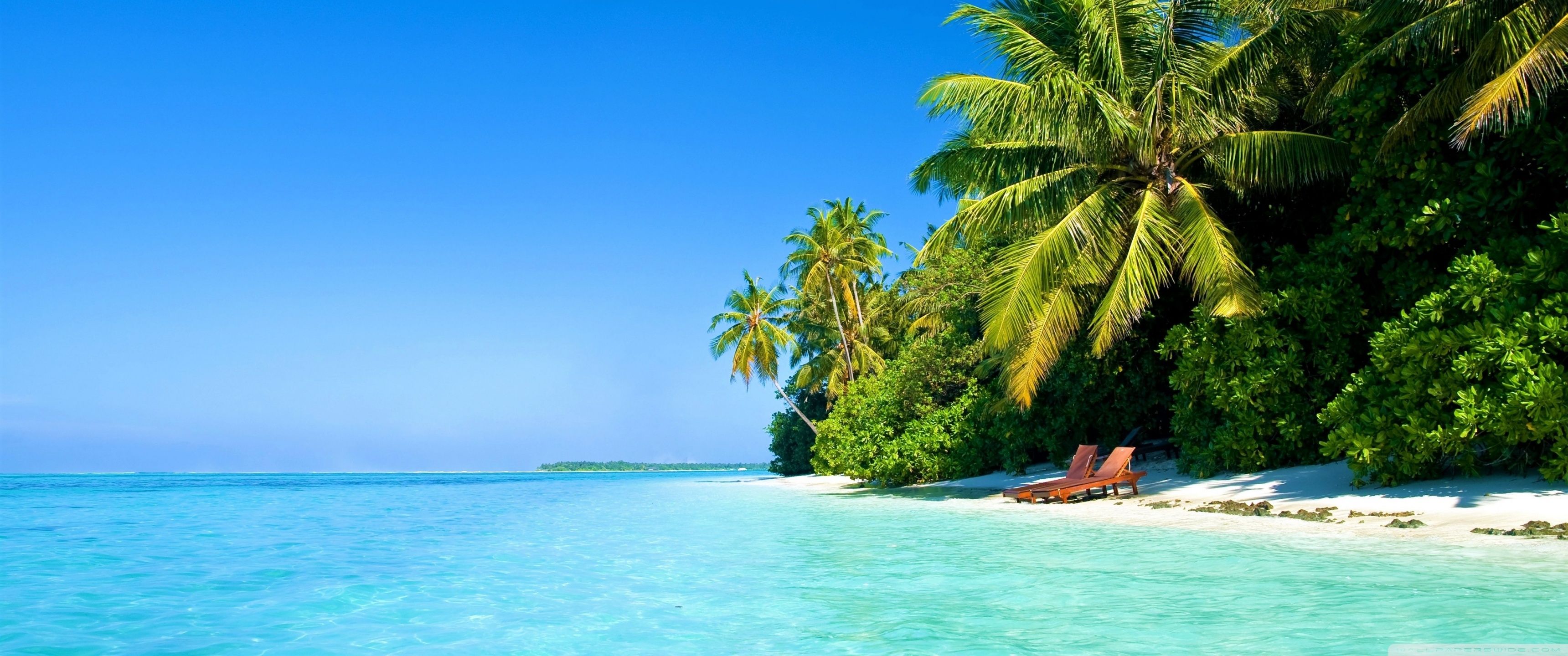 3440x1440 Beach 4K UHD Wallpaper for UltraHD Desktop and TV : Widescreen and UltraWide Display : Smartphone and Tablet Devices